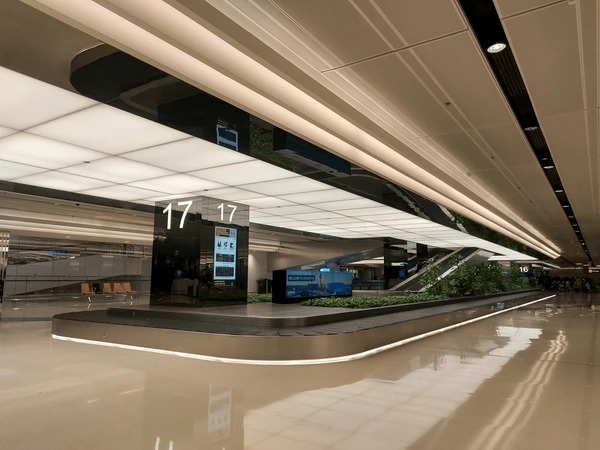 Baggage hygiene monitoring system